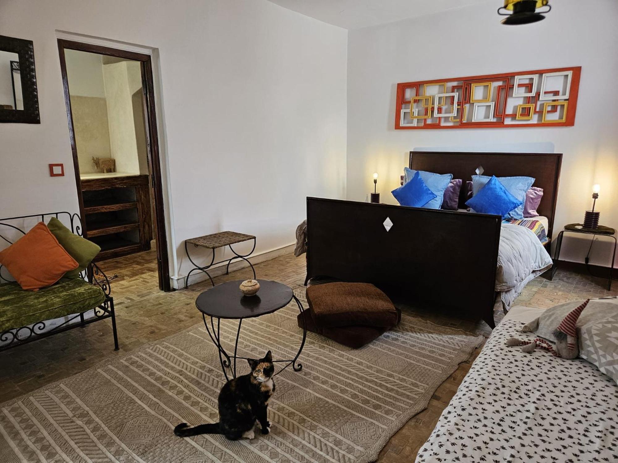 Les Terrasses D'Essaouira - Yoga Studio 外观 照片